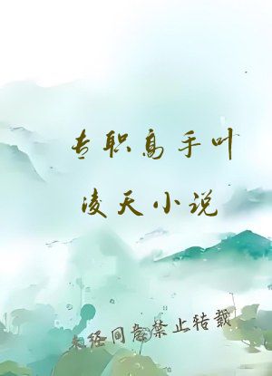 专职高手叶凌天小说