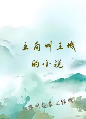 主角叫王城的小说