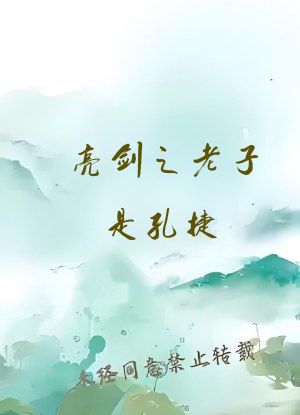 亮剑之老子是孔捷