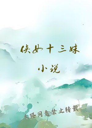 侠女十三妹小说