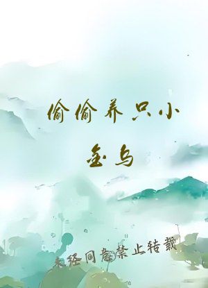 偷偷养只小金乌