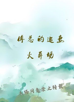 傅总的追妻火葬场