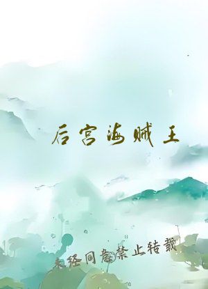 后宫海贼王