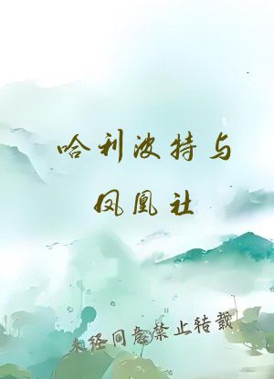 哈利波特与凤凰社