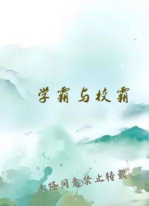 学霸与校霸