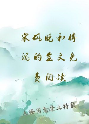 宋风晚和傅沉的全文免费阅读