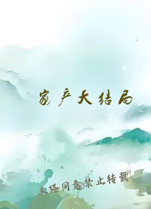 家产大结局