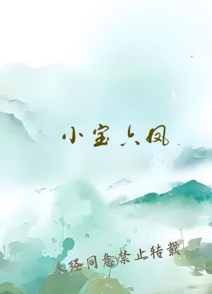 小宝六凤