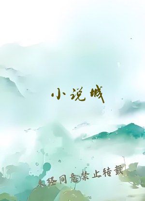 小说城