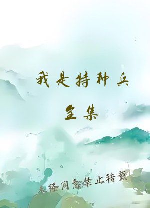 我是特种兵全集