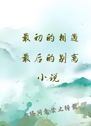 最初的相遇最后的别离小说