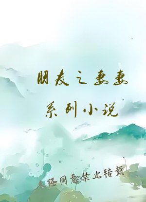 朋友之妻妻系列小说