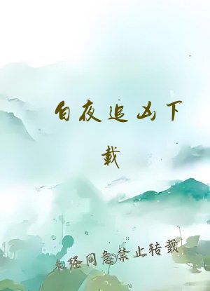 白夜追凶下载
