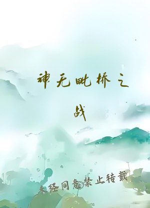 神无毗桥之战