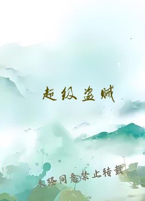 超级盗贼