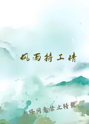 风雨特工情